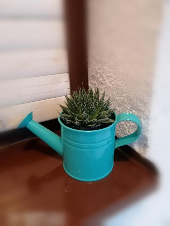 Appartamento Meli